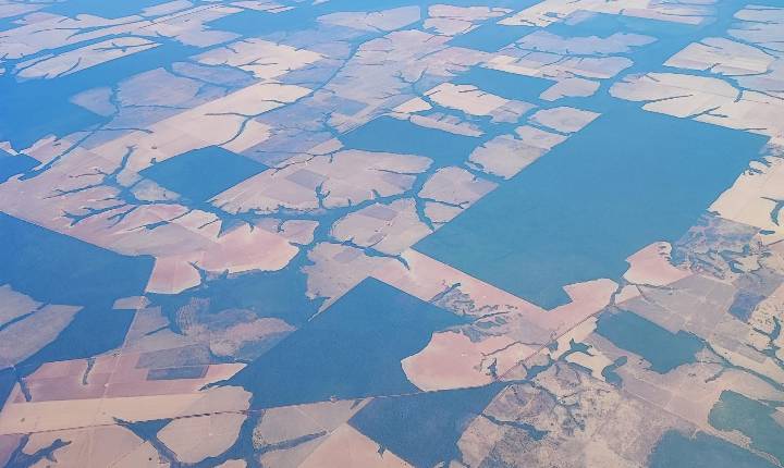 CERTI Amazônia lança ferramenta para monitorar desmatamento