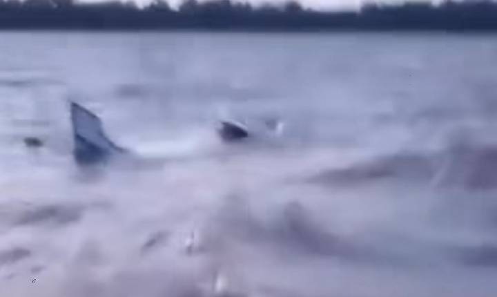 Embarcação com carga de açaí afunda no interior de Afuá; veja o vídeo