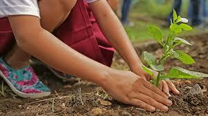 Região dos Lagos se une para discutir a emergência climática