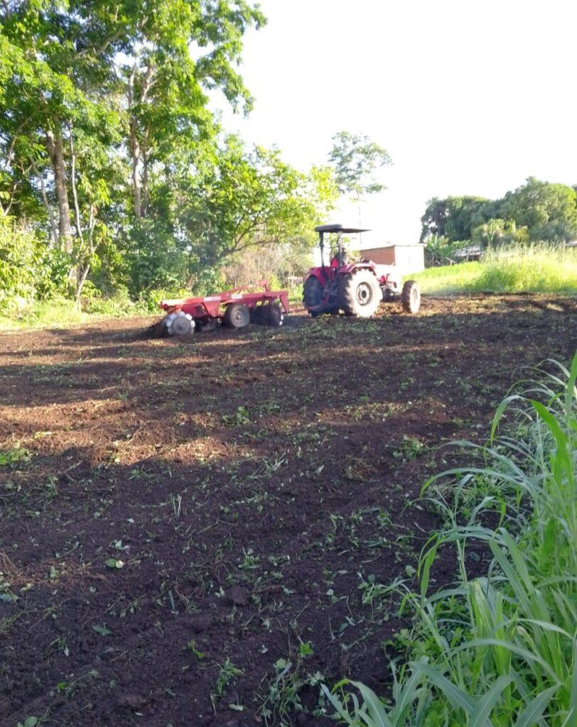 Comunidades rurais de Santana recebem apoio para aumentar a produção agrícola