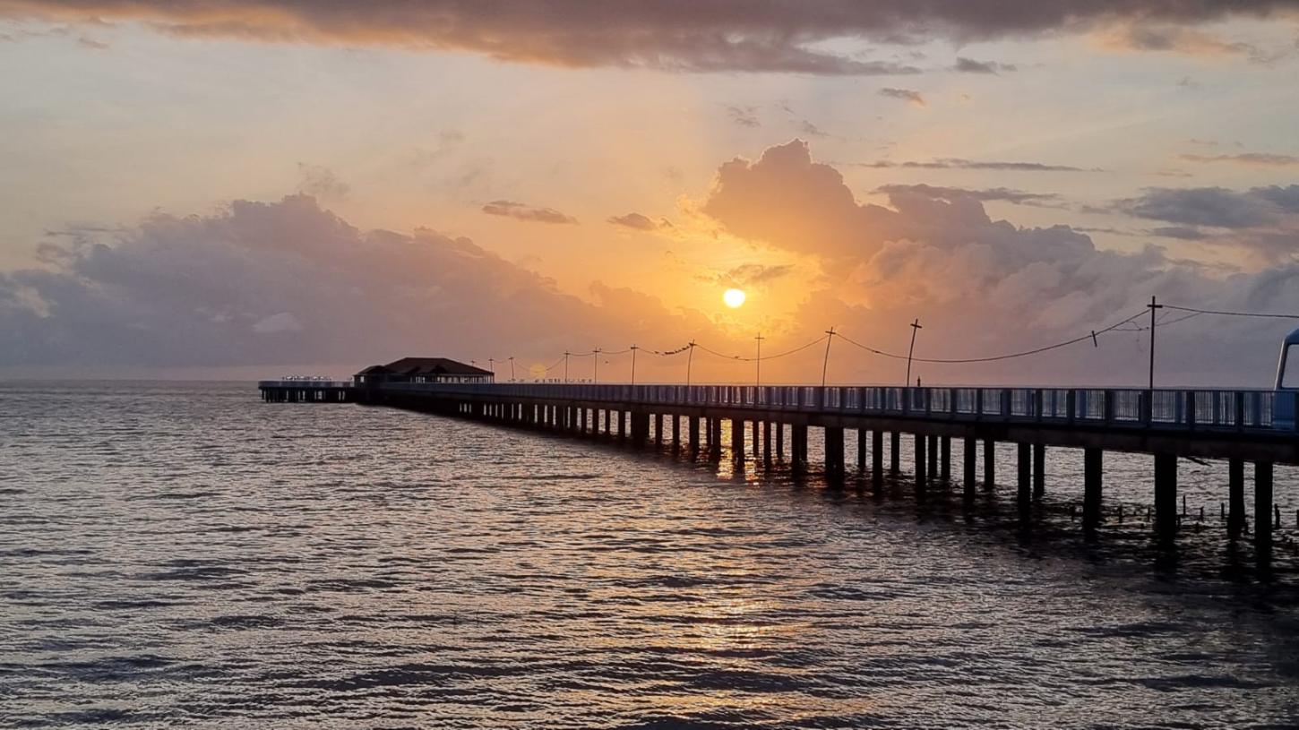 Fotógrafos de Macapá celebram Dia do Fotógrafo com exposição no Parque do Horto