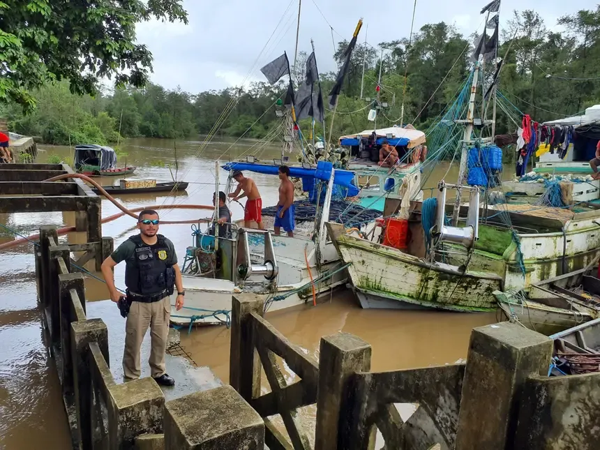 Tartarugalzinho: força-tarefa combate venda ilegal de caranguejo-Uçá durante o defeso