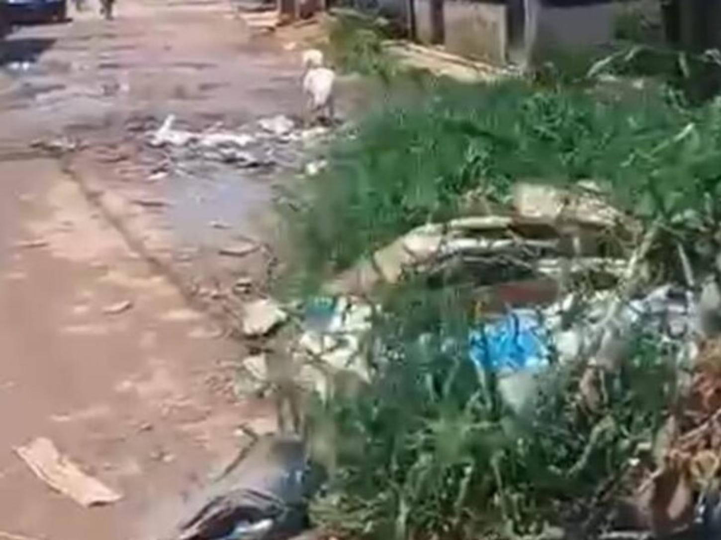 Moradores do Cidade Nova expõem descaso na avenida 25 de Dezembro e cobram Furlan