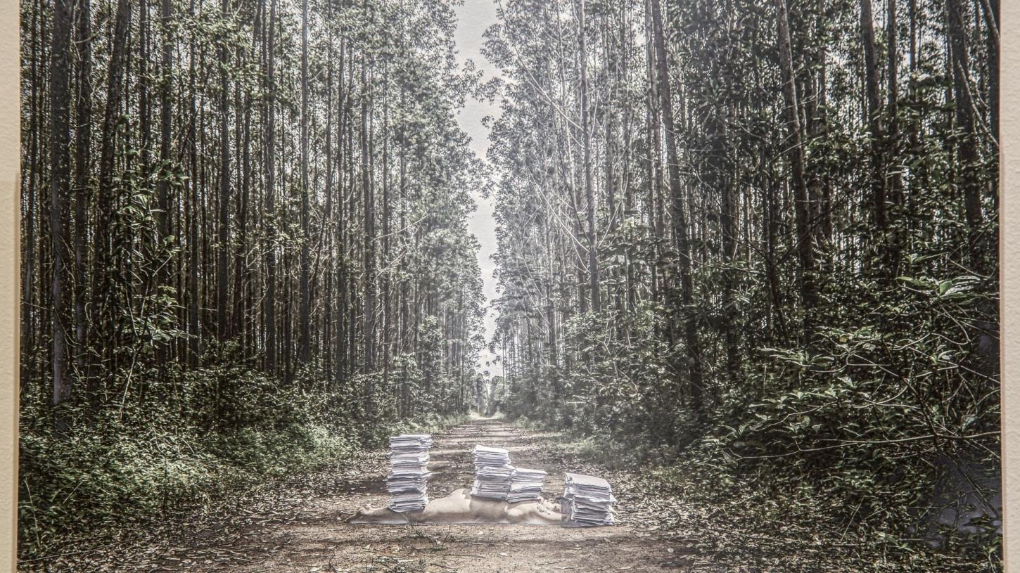 Bienal das Amazônias chega a Macapá com mostra cultural 