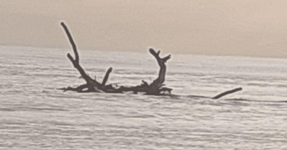 Embarcação com destino para Afuá naufraga após colisão com tronco