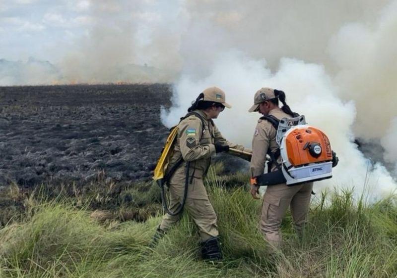 Operação Amapá Verde reforça combate a incêndios florestais no verão amazônico