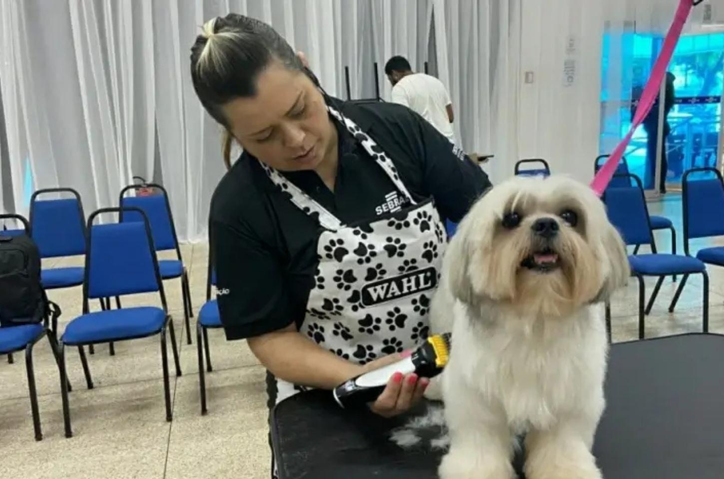 Sebrae promove em outubro workshop para setor pet no Amapá