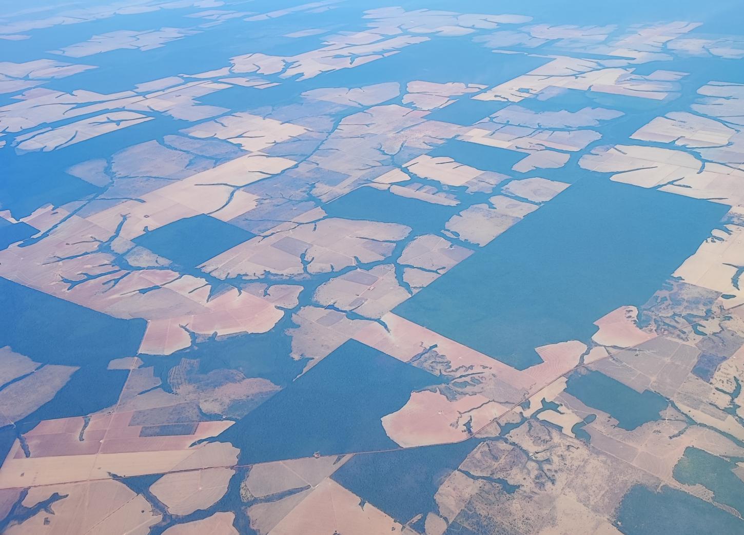 CERTI Amazônia lança ferramenta para monitorar desmatamento
