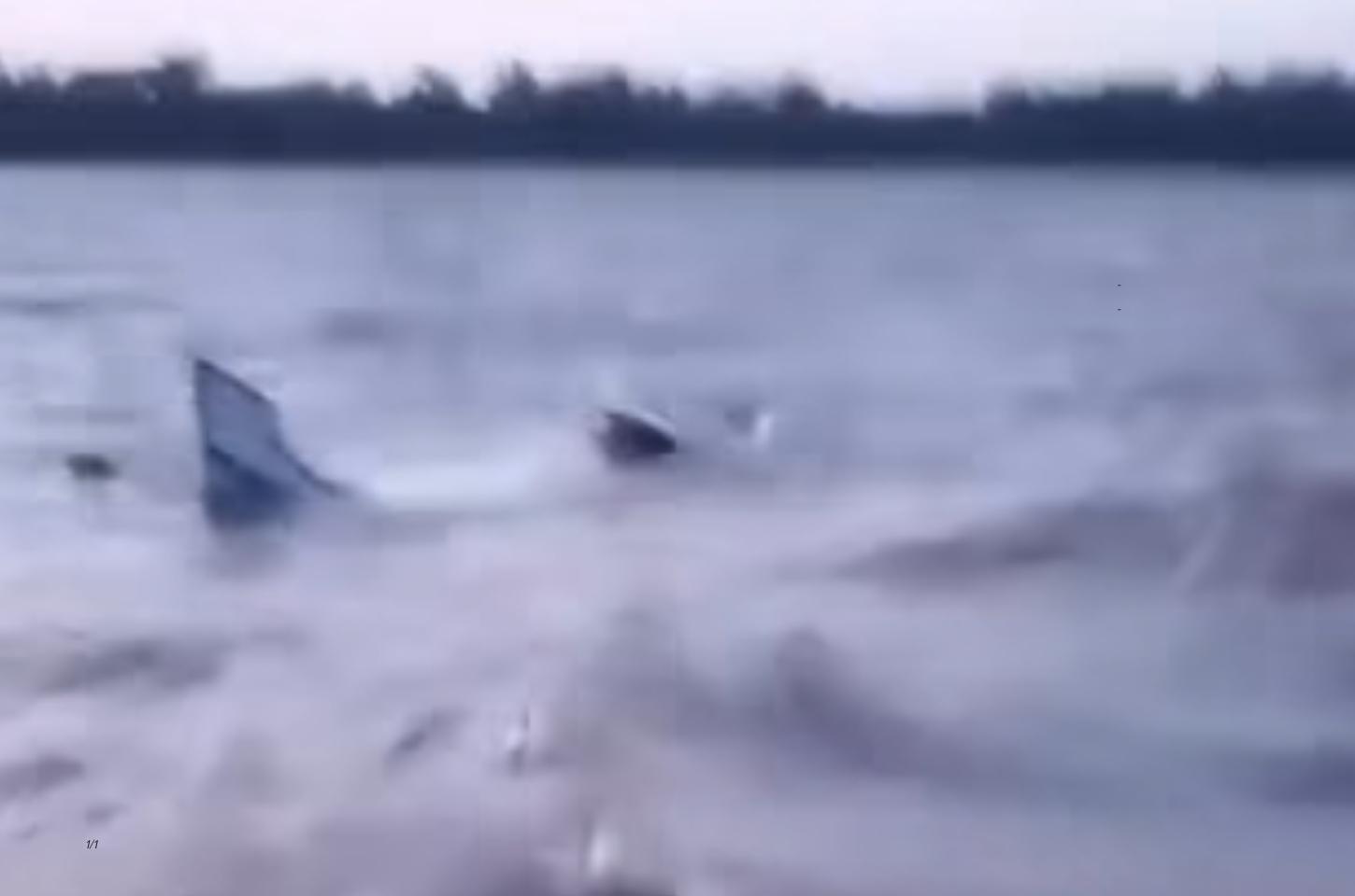 Embarcação com carga de açaí afunda no interior de Afuá; veja o vídeo