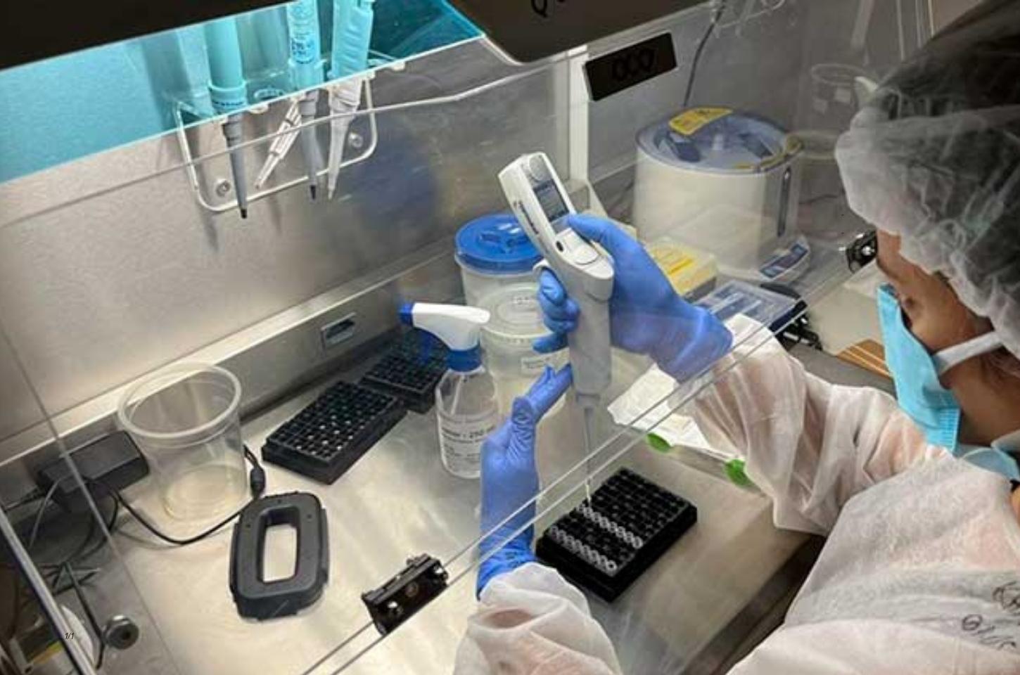 Amapá confirma caso de raiva humana; veja local provável de infecção