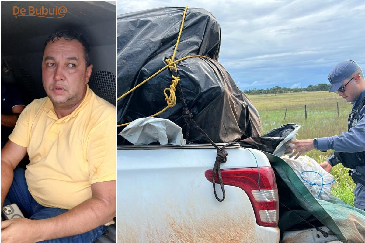 Carga de grude roubada apreendida no Amapá pode valer mais de R$ 1,3 milhão