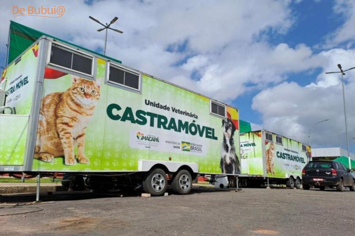 Castramóvel oferece castração gratuita para cães e gatos com 20 vagas diárias