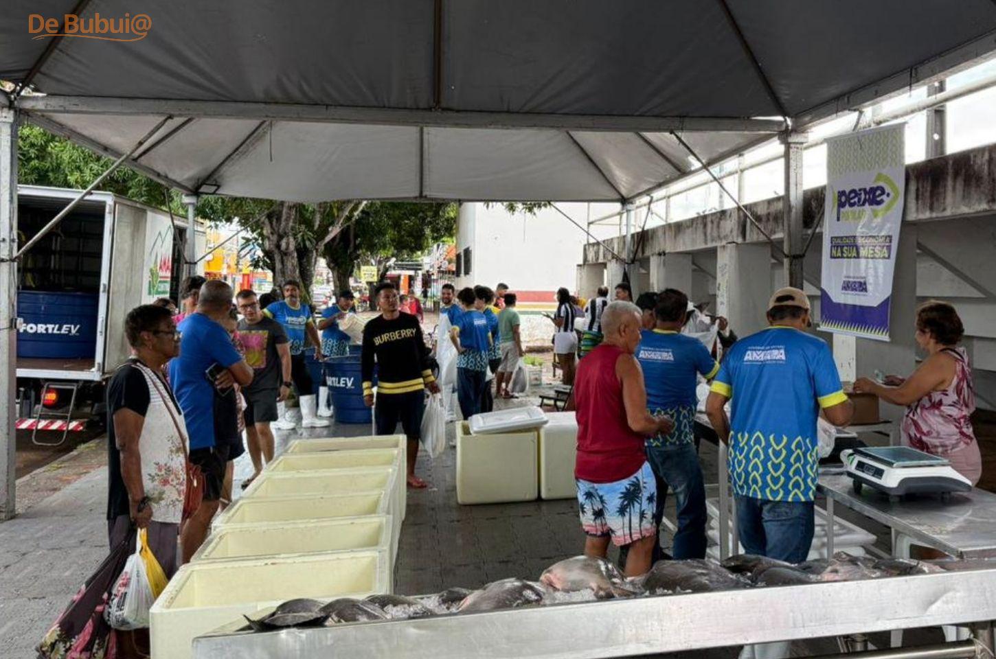 Peixe Popular começa no Amapá com preços a partir de R$ 11