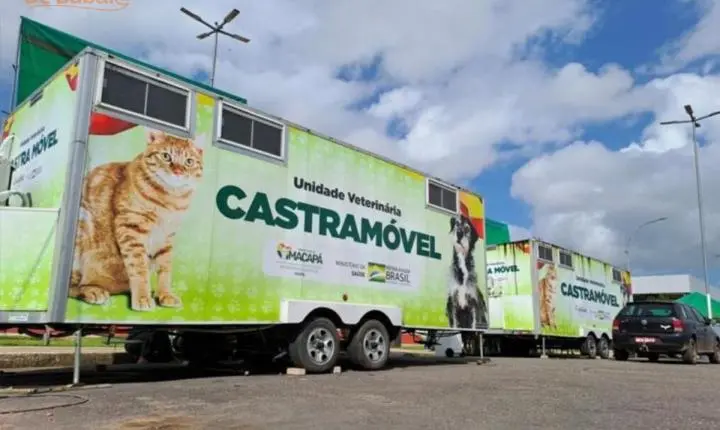 Castramóvel oferece castração gratuita para cães e gatos com 20 vagas diárias