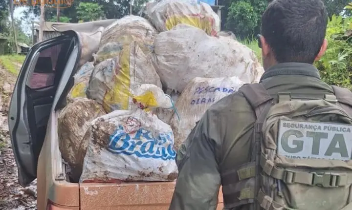 GTA prende 5º suspeito de roubo de grude milionário no Amapá   